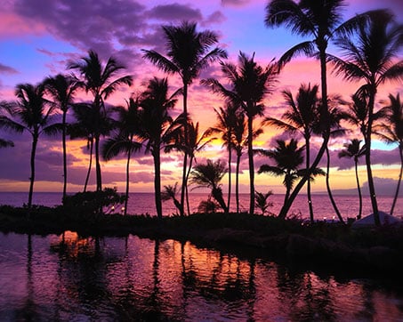 Vibrant sunset with colorful skies over a rocky beach, silhouetted palm trees, and gentle waves.