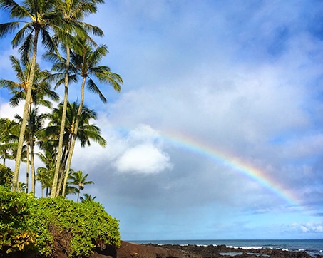 Scenic coastal view with palm trees and a rainbow over the ocean under a partly cloudy sky.