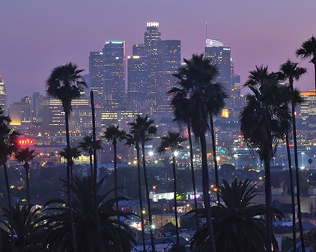 Los Angeles city skyline at dusk with palm trees in the foreground and buildings illuminated.