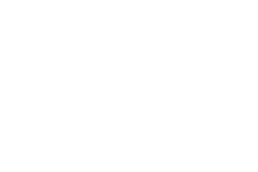 Pacific Air Cargo Logo